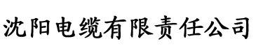 亚洲欧洲av一区二区三区久久电缆厂logo